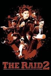 The Raid 2