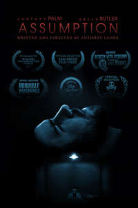 Assumption - Poster