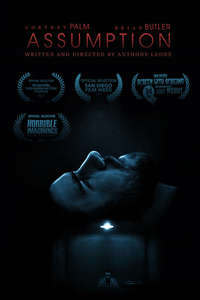 Assumption - Poster