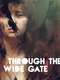 Through the Wide Gate