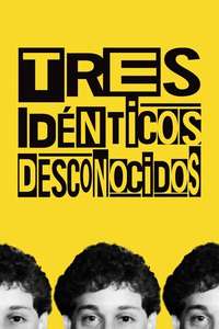 Three Identical Strangers - Poster