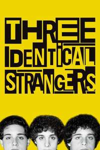 Three Identical Strangers - Poster