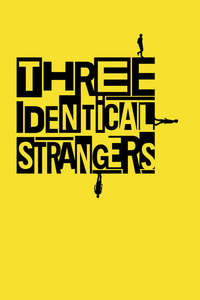 Three Identical Strangers - Poster