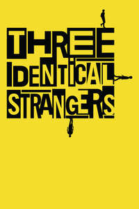 Three Identical Strangers - Poster