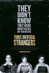 Three Identical Strangers - Poster