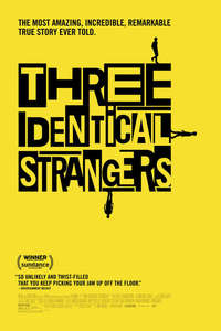 Three Identical Strangers - Poster