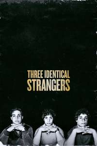 Three Identical Strangers - Poster