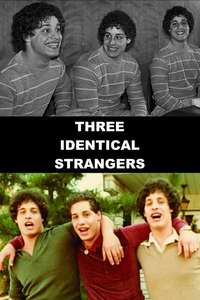Three Identical Strangers - Poster