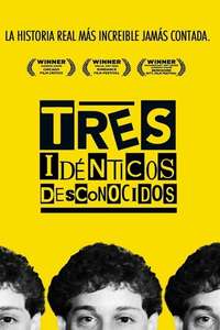 Three Identical Strangers - Poster