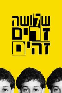 Three Identical Strangers - Poster