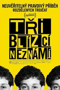 Three Identical Strangers - Poster