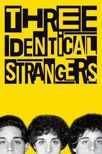 Three Identical Strangers - Poster