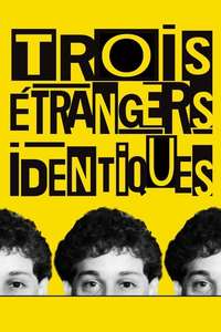 Three Identical Strangers - Poster
