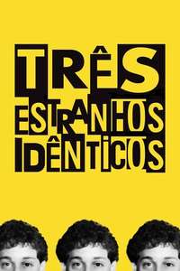 Three Identical Strangers - Poster
