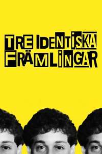 Three Identical Strangers - Poster