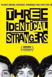 Three Identical Strangers
