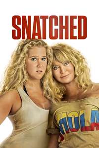 Snatched - Poster