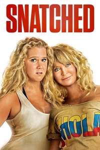 Snatched - Poster