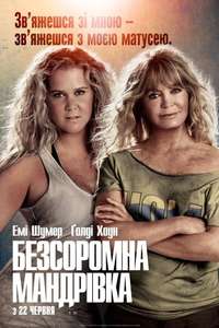 Snatched - Poster