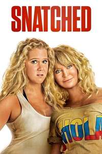 Snatched - Poster
