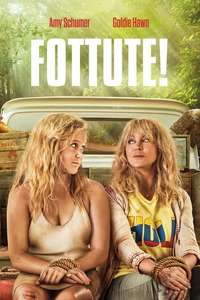 Snatched - Poster