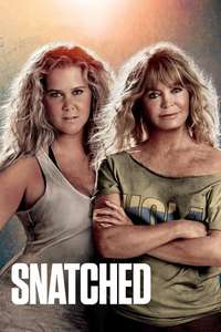 Snatched - Poster