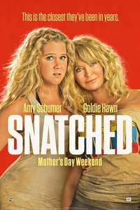 Snatched - Poster
