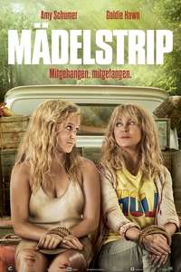 Snatched - Poster