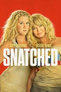 Snatched - Poster