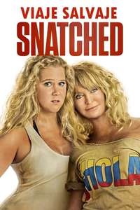 Snatched - Poster