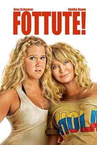 Snatched - Poster