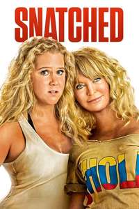 Snatched - Poster