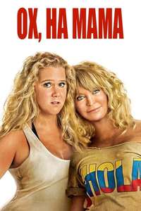 Snatched - Poster