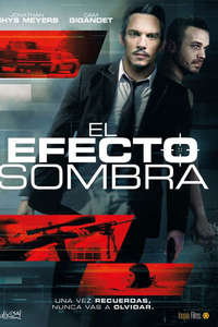 The Shadow Effect - Poster
