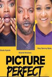 Picture Perfect