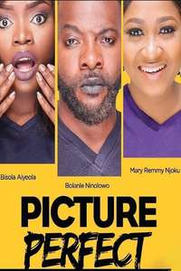 Picture Perfect - Poster