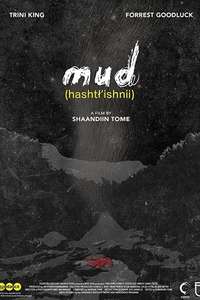 Mud - Poster