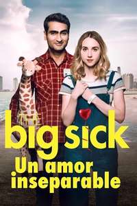 The Big Sick - Poster