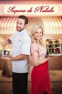 The Christmas Calendar - Poster