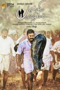 Palli Paruvathile - Poster