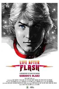 Life After Flash - Poster