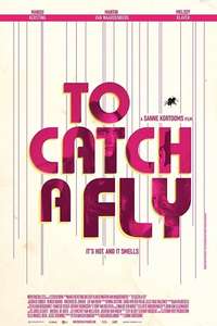 To Catch a Fly - Poster
