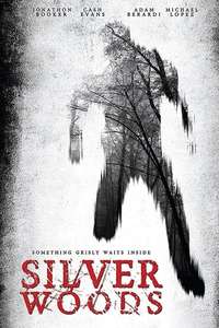 Silver Woods - Poster