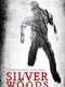 Silver Woods