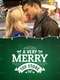A Very Merry Toy Store