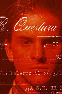 The Red Tree - Poster