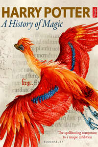 Harry Potter - A History Of Magic - Poster