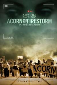 Acorn and the Firestorm - Poster