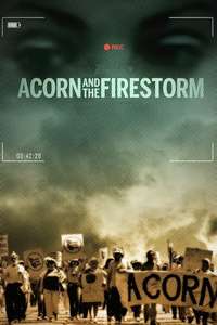 Acorn and the Firestorm - Poster