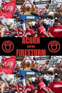 Acorn and the Firestorm - Poster